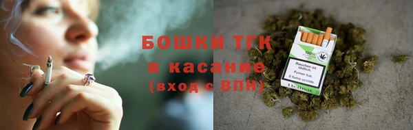 сатива Армянск