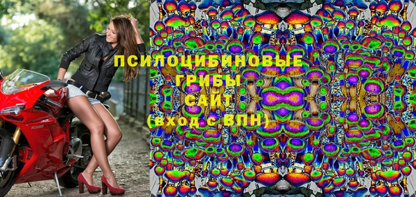 сатива Армянск