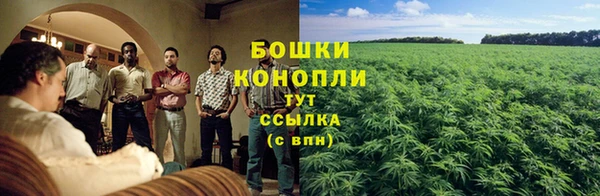 трава Баксан