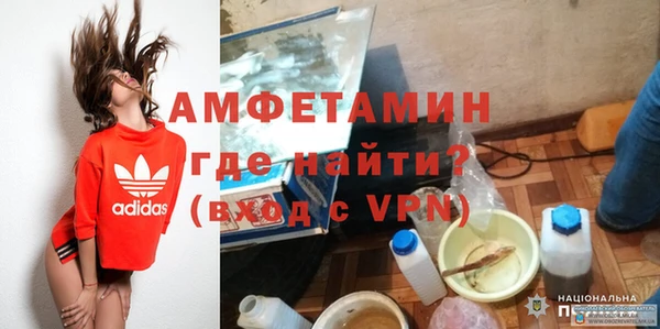 сатива Армянск